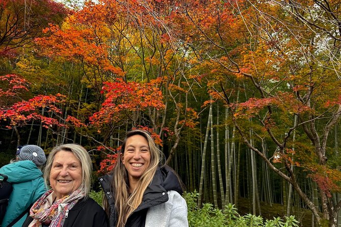 Kyoto Private Tour: One Day Highlights and Cultural Gems - Who should book this Kyoto highlights day