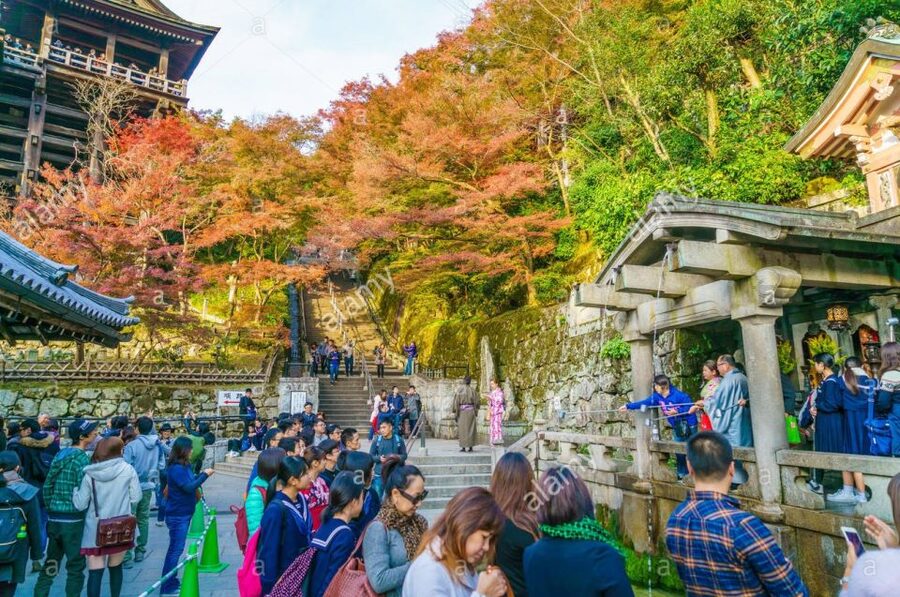 Kyoto: Private Tour with Local Licensed Guide - Price and What You’re Actually Buying at This Level