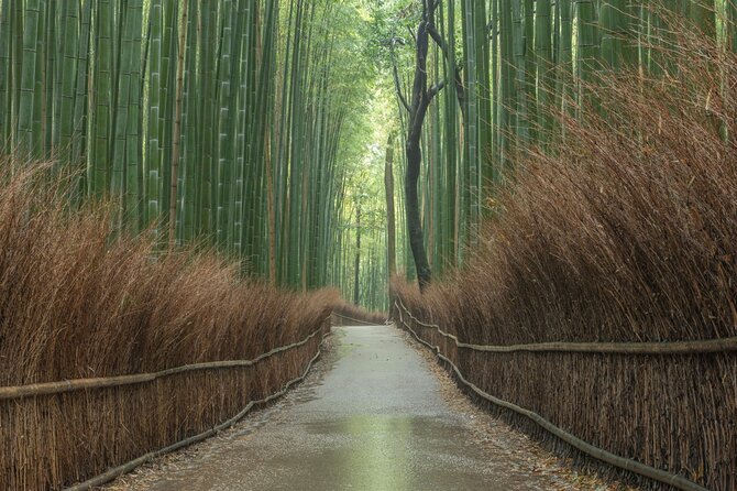 Kyoto top must-see Golden pavilion and Bamboo forest half-day Private tour - Stop 1, Kinkakuji Golden Pavilion: Shining, Symbolic, and Quick to Love