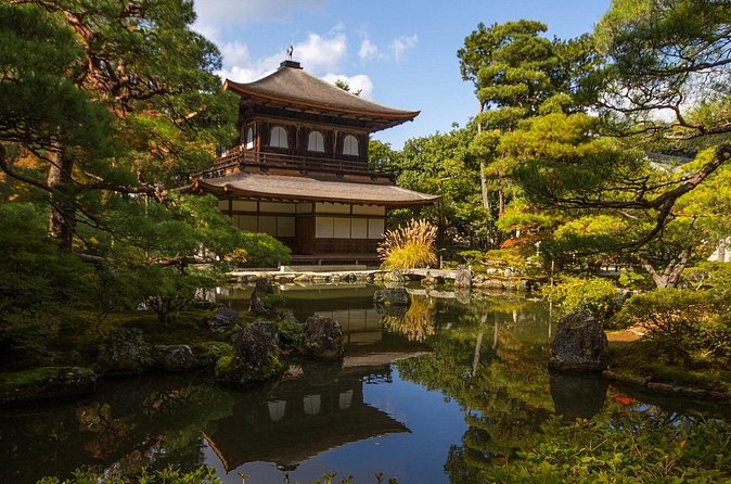 Kyoto tour with English Speaking Chauffeur - Fushimi Inari: thousands of torii gates and an easy pairing