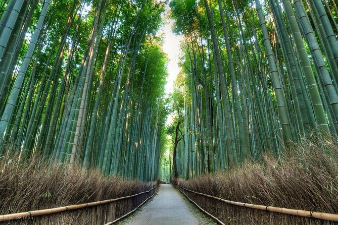 Kyoto tour with English Speaking Chauffeur - Price and logistics: is $500 per group good value?