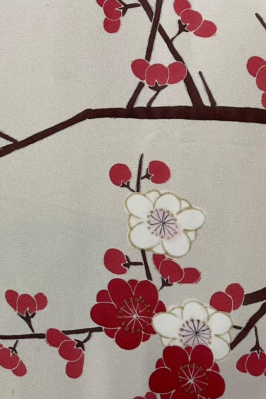 Kyoto: Traditional Yuzen Dyeing Experience - Final verdict: should you book this Yuzen class?