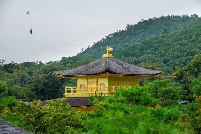 Kyoto & Uji: Full Day Sightseeing Tour from Osaka or Kyoto - Why Kyoto and Uji in one guided day actually makes sense