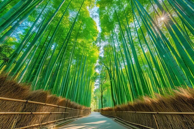 Kyoto & Uji: Full Day Sightseeing Tour from Osaka or Kyoto - Price and value: what you pay, and what you should budget extra