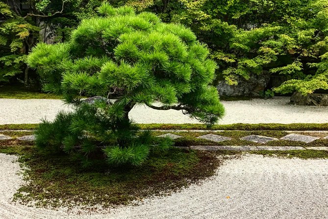 Kyoto: Zen Garden, Zen Mind (Private) - Why Nanzen-ji’s Zen gardens make more sense with a specialist