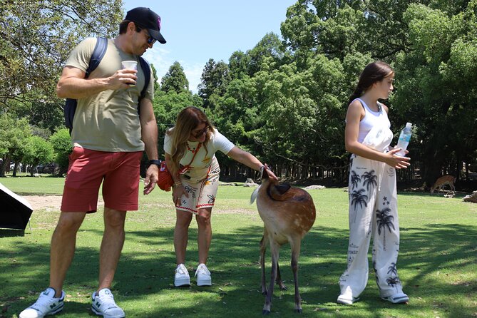 Luxury Kyoto 1-Day Private Car Tour with Nara & Osaka Options - FAQ
