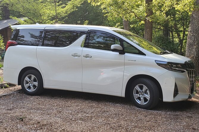 Luxury van Ride to famous car meet up spot Daikoku - Rainbow Bridge and Odaiba: the perfect in-between act