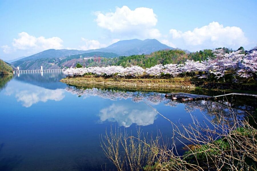 Magome-juku, Tsumago-juku & Ena-kyo 1d Bus Tour from Nagoya - Eihoji Temple: the calm start that keeps the rest of the day pleasant