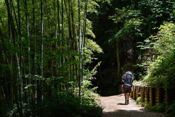 Magome & Tsumago Nakasendo Trail Day Hike with Government-Licensed Guide - Why Magome and Tsumago feels like Japan with training wheels