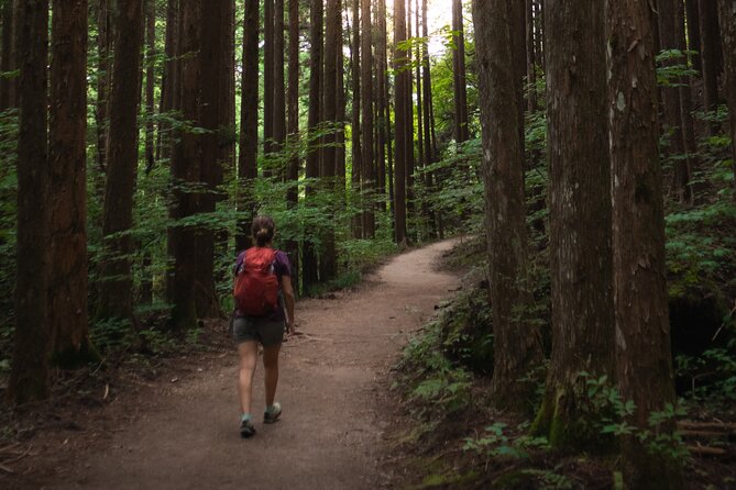 Magome & Tsumago Nakasendo Trail Day Hike with Government-Licensed Guide - Meeting your guide on foot and keeping your day un-fussy