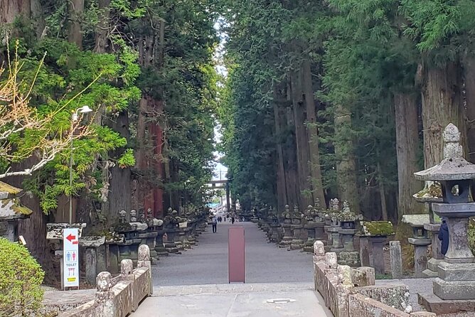 Majestic Mt. Fuji & Hakone Retreat –A Private Day Tour from Tokyo - Timing, weather, and the Fuji clarity issue