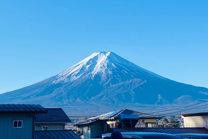 Majestic Mt. Fuji & Hakone Retreat –A Private Day Tour from Tokyo - Mt Fuji 5th Station: optional altitude and shrine time
