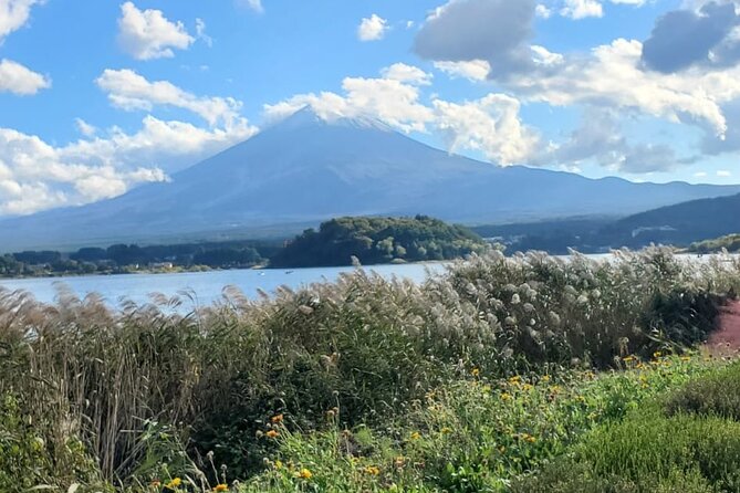 Majestic Mt. Fuji & Hakone Retreat –A Private Day Tour from Tokyo - Oshino Hakkai: eight ponds, snacks, and easy strolling