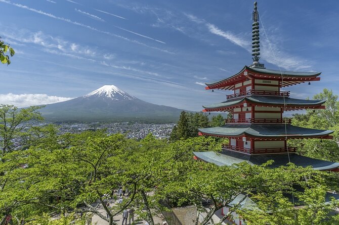 Majestic Mt. Fuji & Hakone Retreat –A Private Day Tour from Tokyo - Your day starts with a real Tokyo pickup
