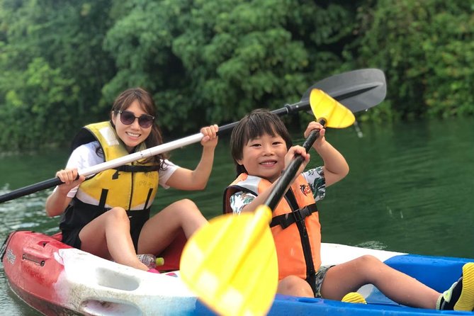 Mangrove kayaking to enjoy nature in Okinawa - Why Kadenas Mangroves Feel Different From Typical Okinawa Nature Tours