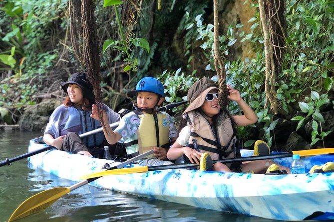 Mangrove kayaking to enjoy nature in Okinawa - What the 2-Hour Paddle Actually Looks Like, From Check-In to Photo
