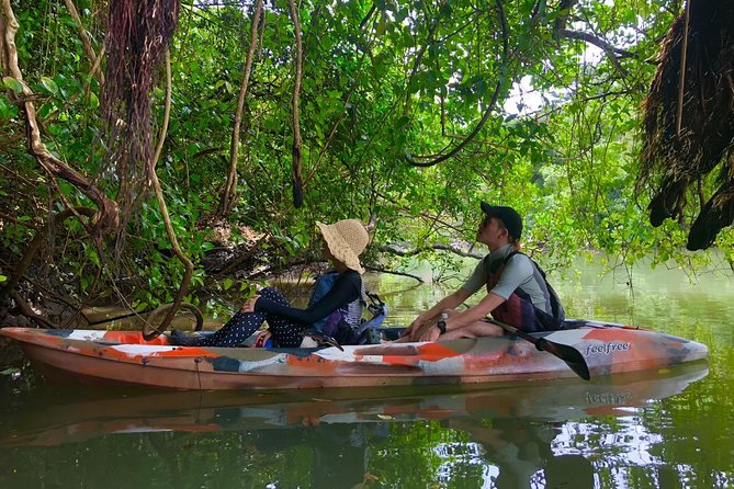 Mangrove kayaking to enjoy nature in Okinawa - Gear, Comfort, and the Small Tips That Save Your Trip