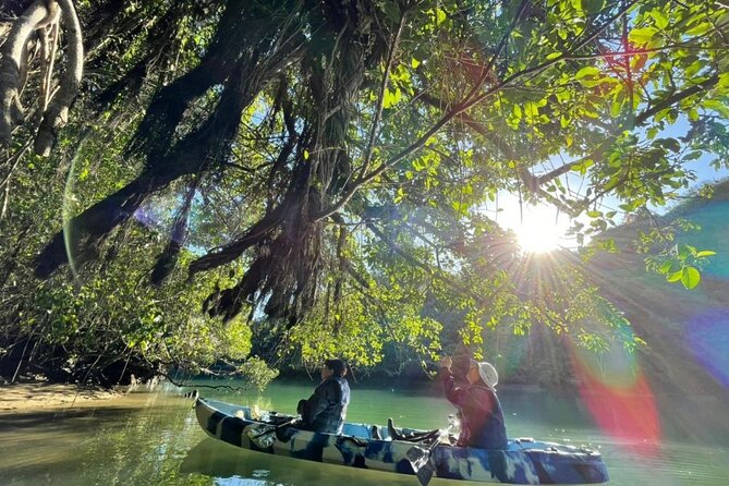 Mangrove kayaking to enjoy nature in Okinawa - Price and Value: Is $36.33 Worth It?