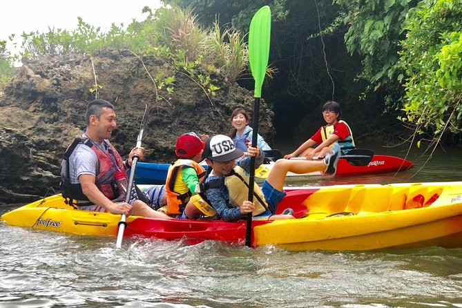 Mangrove kayaking to enjoy nature in Okinawa - Should You Book This Mangrove Kayak Tour?