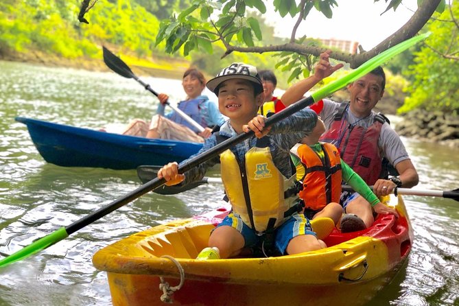 Mangrove kayaking to enjoy nature in Okinawa - Guides, English Support, and Why the Trip Feels Personal