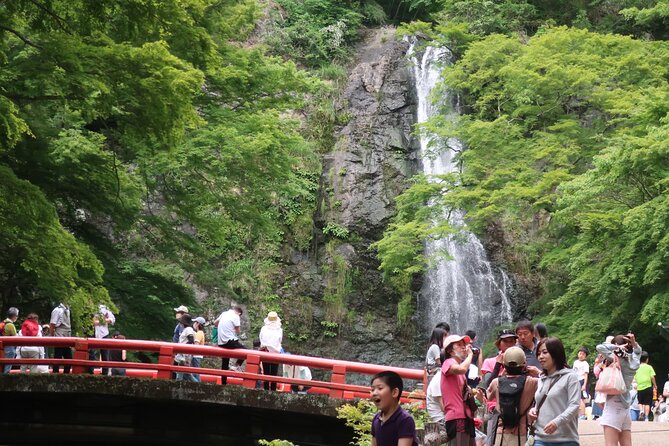 Minoh Waterfall and nature walk through the Minoh Park - Key Things I’d Focus On Before You Go