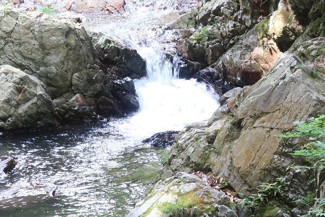 Minoh Waterfall and nature walk through the Minoh Park - The Walk Up Toward the Waterfall: Pace, Photos, and Possible Monkeys
