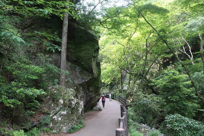 Minoh Waterfall and nature walk through the Minoh Park - Waterfall of Mino: What You Get in Those 30 Minutes