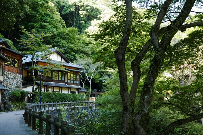 Minoh Waterfall and nature walk through the Minoh Park - Your Private Guide: What You Actually Pay For