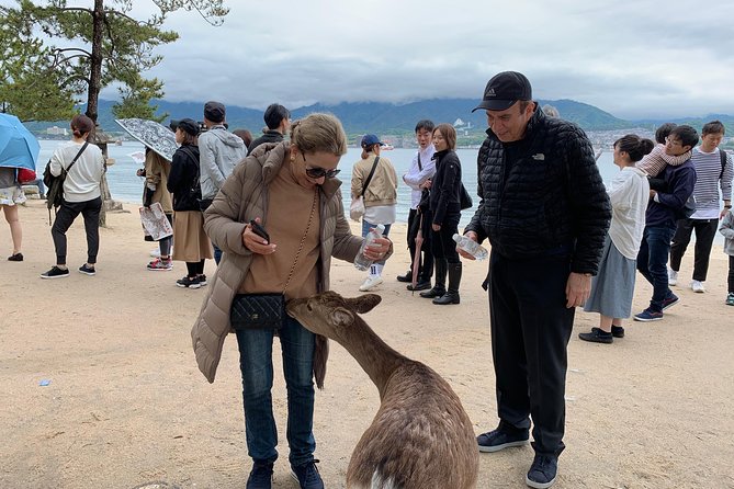 Miyajima Half-day Private Tour with Government Licensed Guide - How the licensed guide changes your experience, in real terms