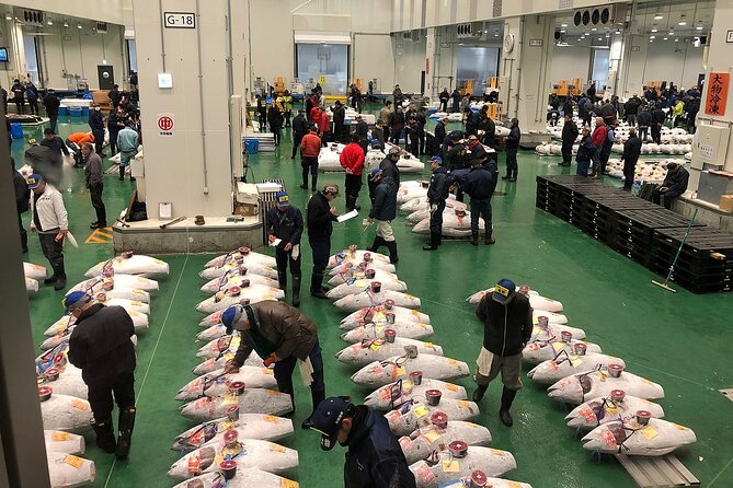 Morning Market Adventure: Toyosu & Tsukiji with Tuna Auction - Why 5:00 am Works Here (Even If You Hate Early Starts)