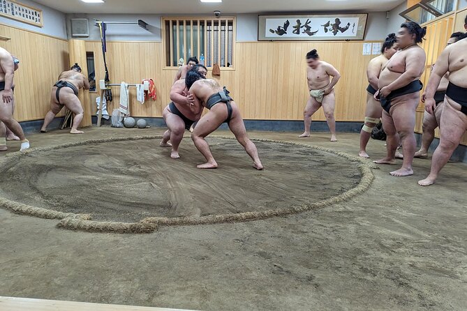 Morning Sumo Practice Viewing in Tokyo - Price and value: what $99.08 actually buys you