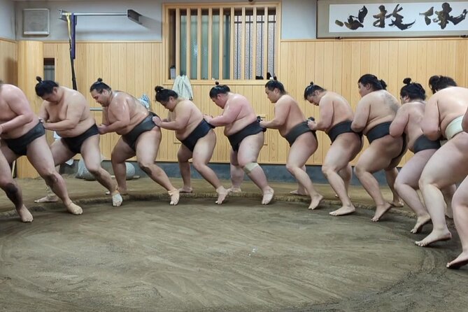 Morning Sumo Practice Viewing in Tokyo - Should you book this morning sumo practice tour?