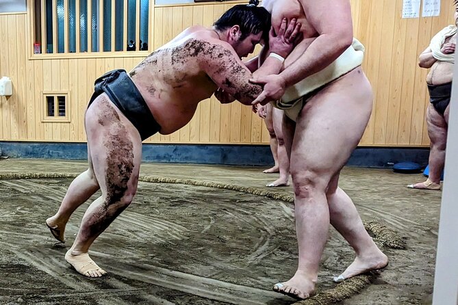 Morning Sumo Practice Viewing in Tokyo - Inside Naruto-beya: floor seating, stable life, and training rhythm