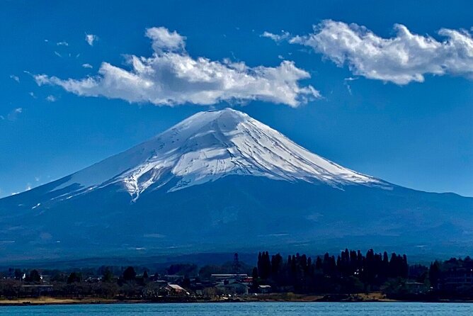 Mount Fuji Adventures Private English Tour With Hotel Pick Up - Chureito Pagoda and Arakura Fuji Sengen Shrine: steps, photos, and pacing