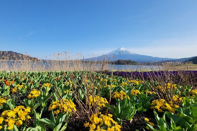 Mount Fuji Adventures Private English Tour With Hotel Pick Up - Oshino Hakkai: village ponds, museum stops, and a break from crowds