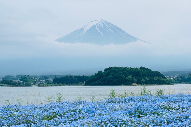 Mount Fuji Adventures Private English Tour With Hotel Pick Up - How to make flexibility work for you (including Hakone hopes)