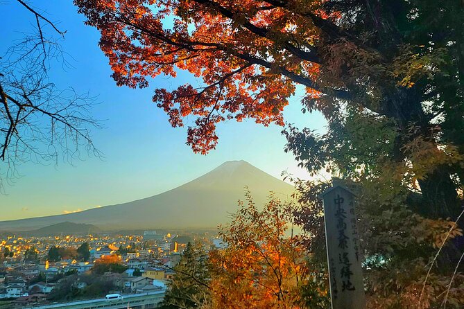 Mount fuji and Hakone Full day private sightseeing tour - Weather is the make-or-break factor for seeing Mt. Fuji