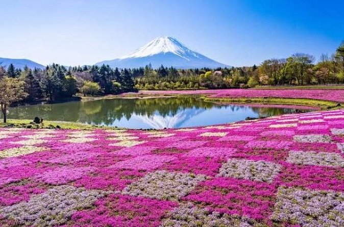 Mount Fuji and Hakone Private Tour by Car with Pickup from Tokyo - Lake Ashi and the Wild Grass Garden: a free, scenic breath