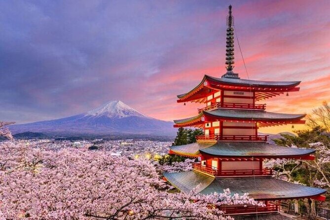 Mount Fuji and Hakone Private Tour by Car with Pickup from Tokyo - Gotemba Premium Outlets as a shopping flex, not a must
