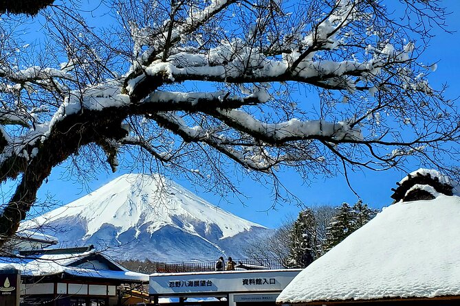 Mount Fuji and Hakone Private Tour from Tokyo (Customizable) - Key highlights worth planning around