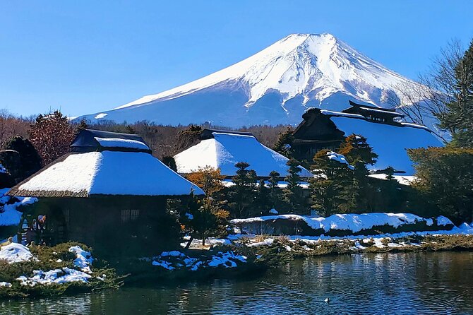 Mount Fuji and Hakone Private Tour from Tokyo (Customizable) - Why this Fuji and Hakone day trip actually feels efficient
