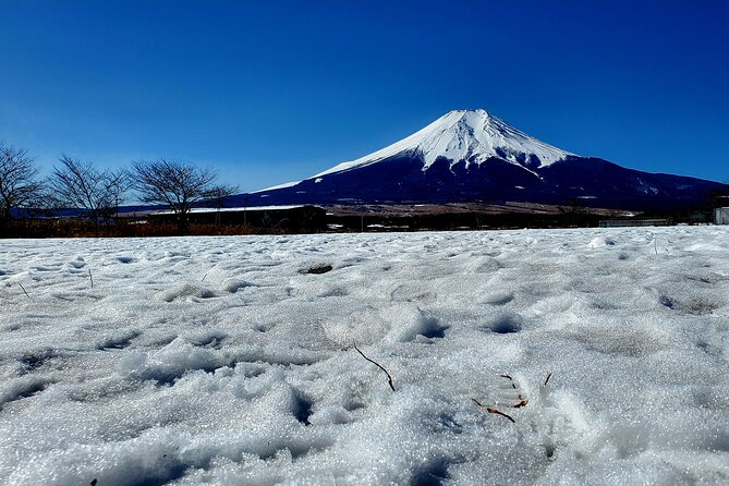 Mount Fuji and Hakone Private Tour from Tokyo (Customizable) - Stop 1: Chureito Pagoda for the classic start