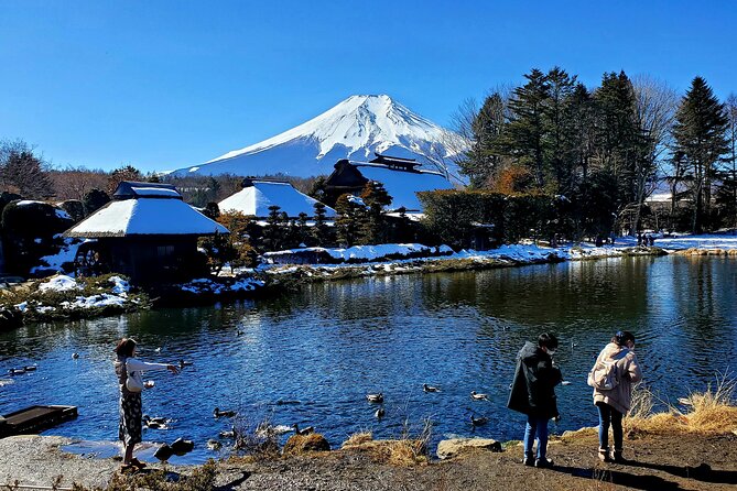 Mount Fuji and Hakone Private Tour from Tokyo (Customizable) - Price and value: what $448 covers, and what adds up