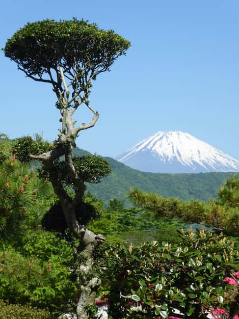 Mount Fuji: Customizable Private Tour By Car With Pickup - Price and value: $395 per group, plus the fees you still need