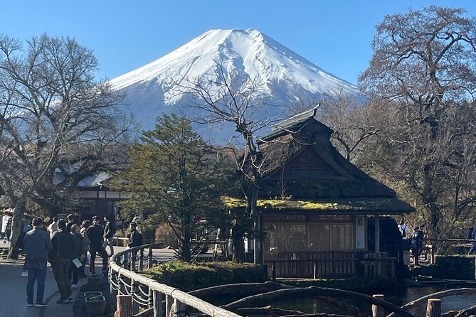Mount Fuji Full Day Customize Private Tour with English Guide - A 10-hour Fuji day that’s mostly about convenience