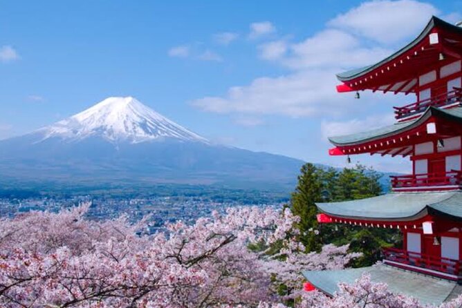 Mount Fuji Full Day Customize Private Tour with English Guide - The real experience: transportation first, guidance second