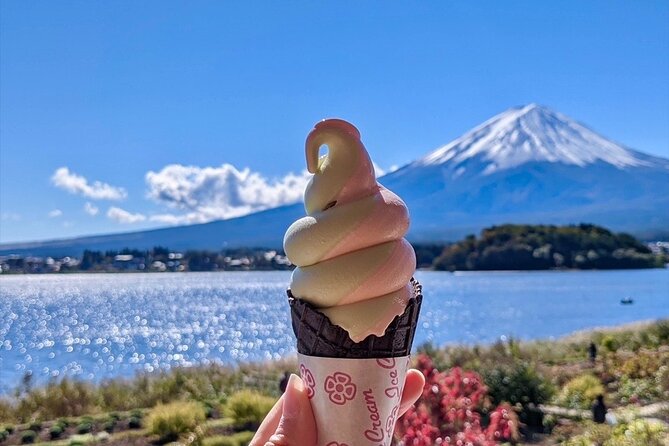 Mount Fuji Full Day Customize Private Tour with English Guide - What makes this tour feel worth it