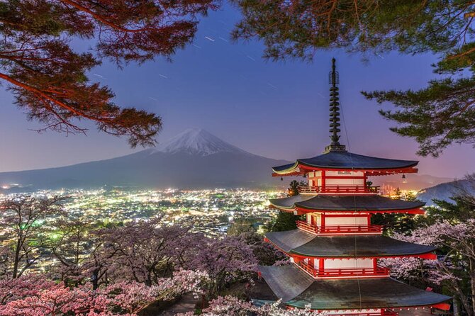 Mount Fuji Full Day Customize Private Tour with English Guide - Who this tour suits best