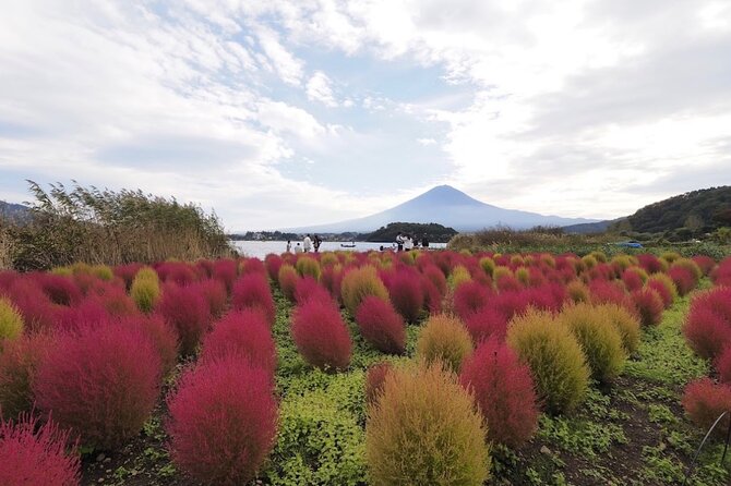 Mount Fuji Full Day Customized Private Tour with English Guide - Arakurayama Sengen Park and the Chureito Pagoda area: shrine views and stairs you will feel
