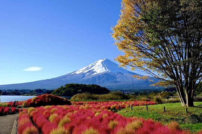 Mount Fuji Full Day Customized Private Tour with English Guide - Your full day structure: how the route stays flexible
